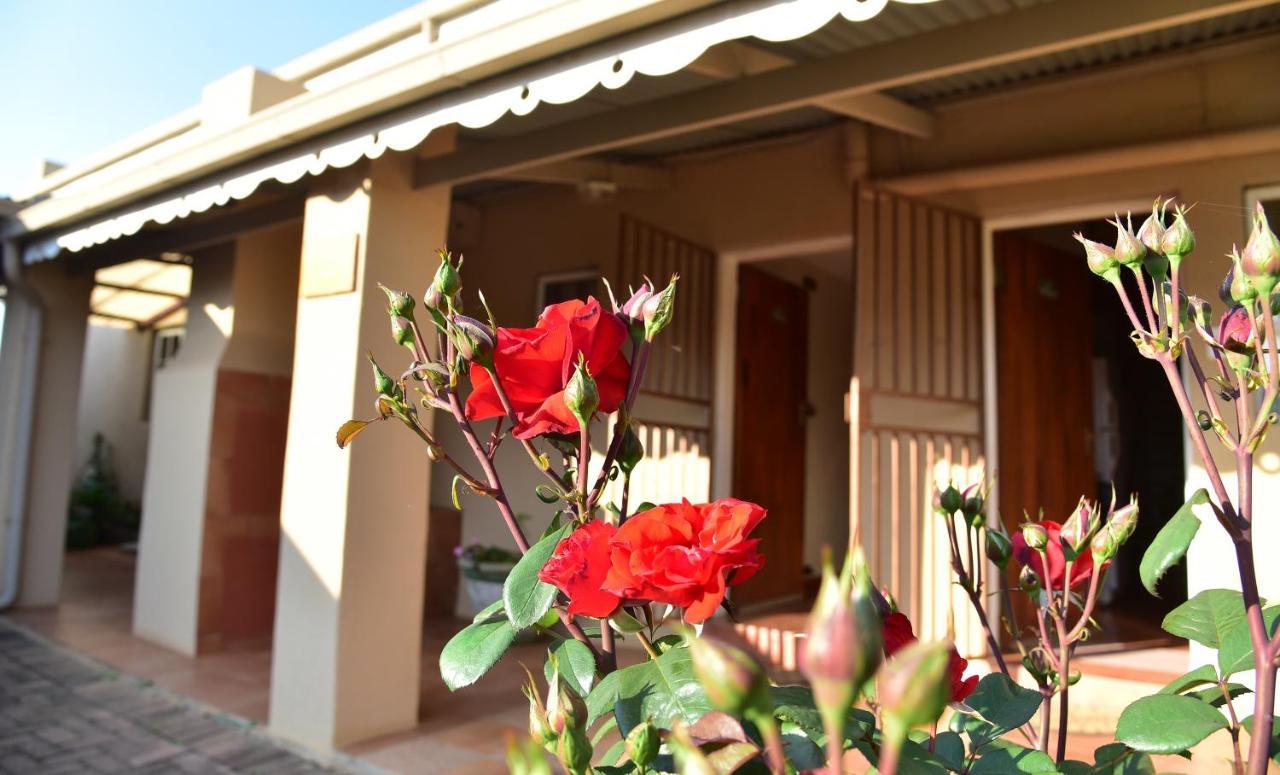 Villa Moria Peace Cottage Dullstroom Esterno foto